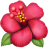 HAWTHORN BERRY
