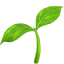 VEGETARIAN CAPSULES