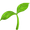 vegeterian  capsules