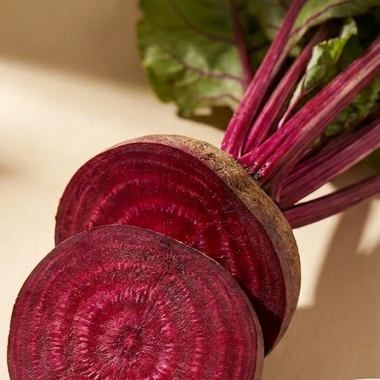 BEET ROOT