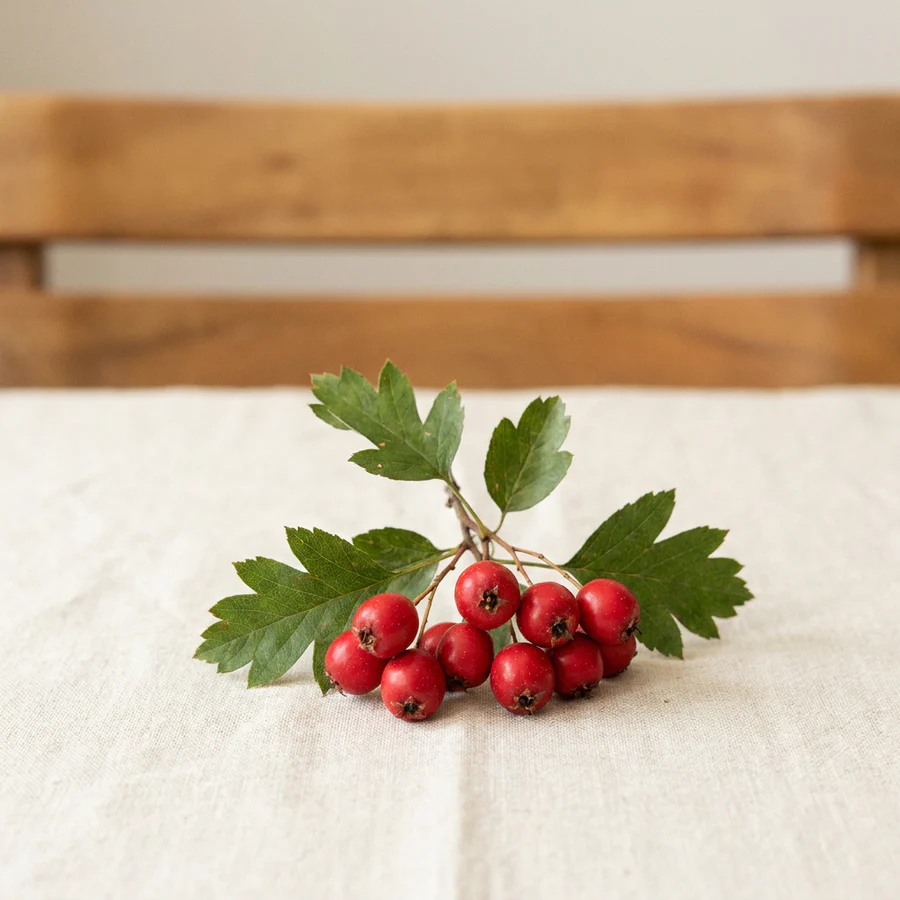 HAWTHORN BERRY