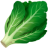 BEET ROOT EXTRACT